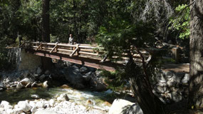 Tenaya Creek Bridge