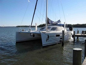 Wildlife at Berth