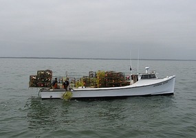 Crabbing on the Chesapeake