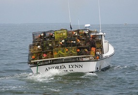 Crabbing on the Chesapeake