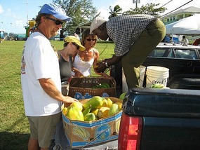 Buying bananas from a local grower