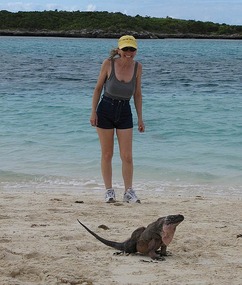 Native prehistoric iguana at Allen's Cay