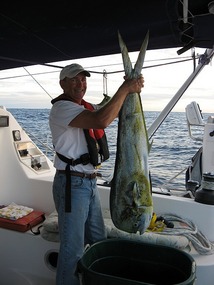 Reeled in Mahi Mahi enroute