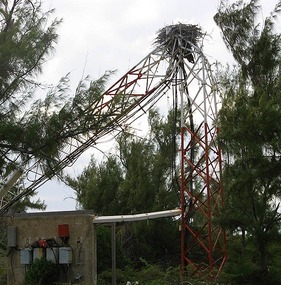 Making the Most of 8/2008 Hurricane Damage 