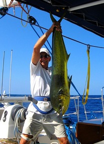 Another Female Mahi Mahi