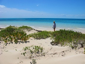 Beachcombing on Devil's Cay