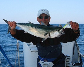 Little Tunny caught enroute to Beaufort 