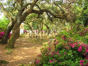 The Old Cemetery