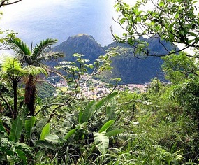 Town of Windwardside