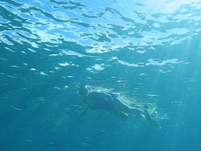 Click to view video Donna snorkeling Pigeon Island
