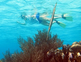 Donna and trumpet fish at Tobago Cays