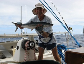 Dave's Cero Mackerel Catch of the Day
