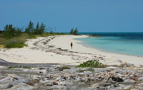 Beachcombing Soldier Cay 