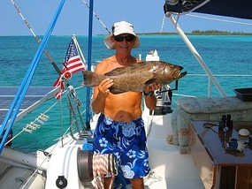 Black Grouper