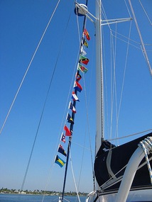 Flag display of countries visited