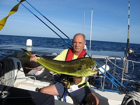 Wally's Bull Mahi