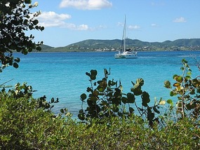 View of Buck Island anchorage from shoreline