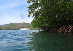 Moored at Hurricane Hole mangroves
