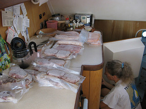 Freezer swap under way