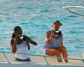 Photographers capture the starts