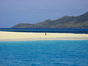 Buck Island resident on beach at anchorage