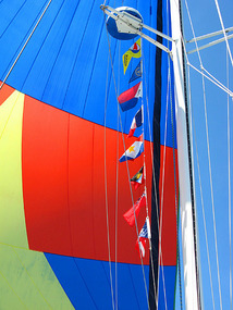 Flags representing places we visited this season