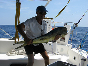 Hauling in another mahi enroute