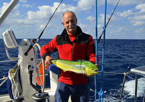 Wally reels in a dinner-for-four Mahi