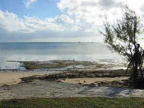 At anchor in Reef Harbour