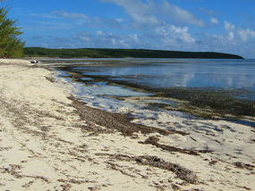 Low tide Reef Harbour at Port Howe