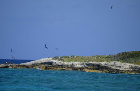 Catto Cay with nesting frigate birds
