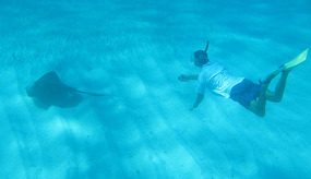 Dave captures Southern Ray with GoPro camera
