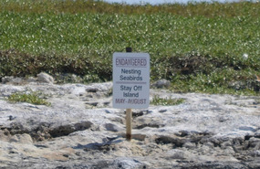 Signage at Goulding (Hawk's Nest) Cay