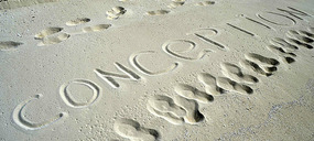 Conception Island's fine sand beach