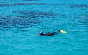 Donna snorkels patch reefs at NW tip of island