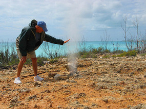 Dave checks out the blow hole