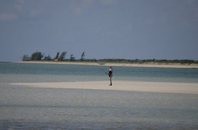 Donna surveys the shallows...