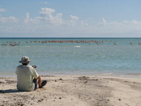 Dave the photographer captures nature