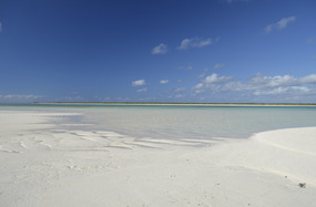 Expansive shallows at East Reef for bonefishing