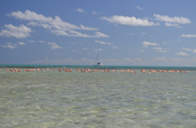 Low tide at East Reef Mayaguana