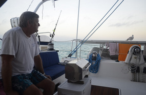 Pete and seabird face off at anchor Abraham's Bay