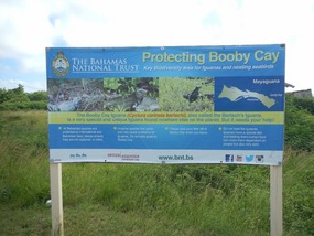 Protection of Booby Cay