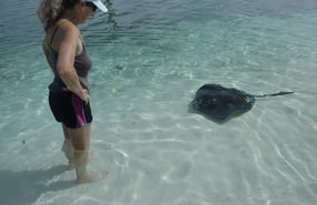 A friendly face-off