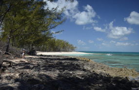 View of Atlantic coastline Manjack Cay