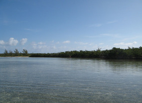 Western shore shallows at Stranger's Cay