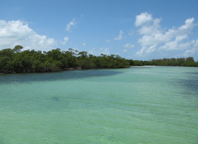 Beautiful creek shallows at Manjack Cay