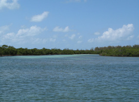 Expansive view of creek at Manjack Cay 
