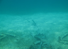 Our anchor rests just north of sea floor trash