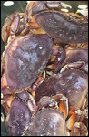 Crabby