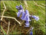 A cliff top surprise.....